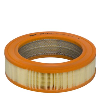 Oro filtras