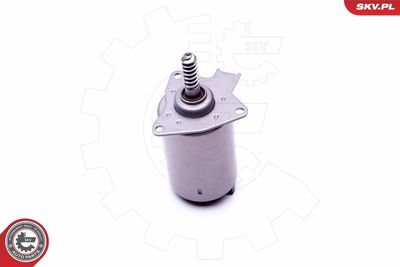 ELEMENT DE REGLARE ARBORE EXCENTIRC (CURSA VARIABILA VENTIL ESEN SKV 96SKV087 3