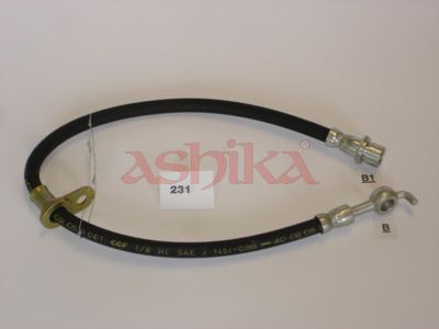 Halter, Bremsschlauch