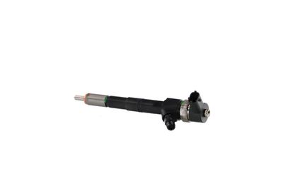 INJECTOR REMANTE 002003001085R 14