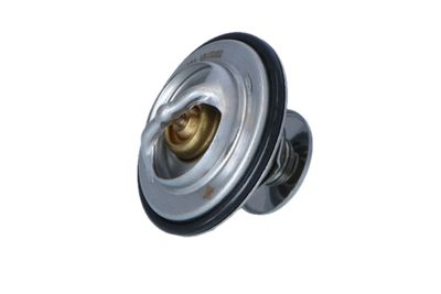 TERMOSTAT LICHID RACIRE NRF 725070 44