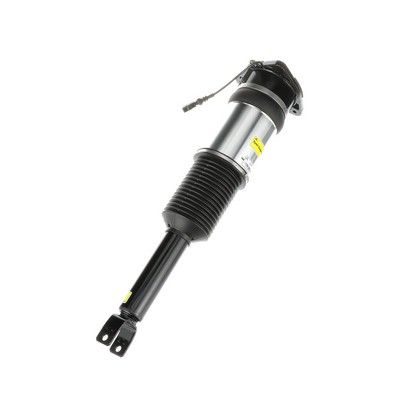 LUFTFEDERBEIN Arnott AS2966 72