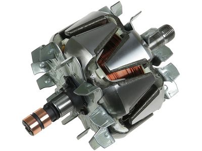 Rotor, alternator