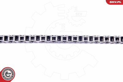 Timing Chain Kit 21SKV210