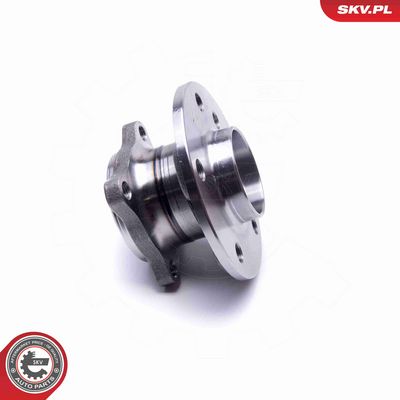 SET RULMENT ROATA ESEN SKV 29SKV317 1