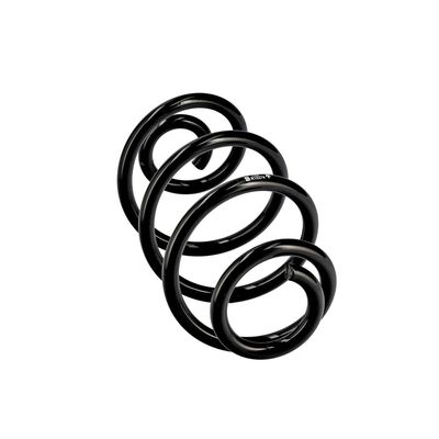 ARC SPIRAL EIBACH R10374 24