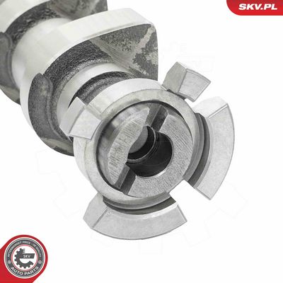AX CU CAME ESEN SKV 80SKV051 1