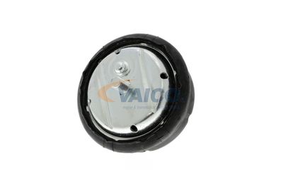 SUPORT MOTOR VAICO V2010251 51