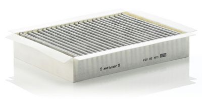 Filter, Innenraumluft