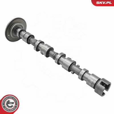 AX CU CAME ESEN SKV 80SKV064 2