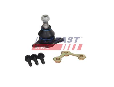 ARTICULATIE PARGHIE COT