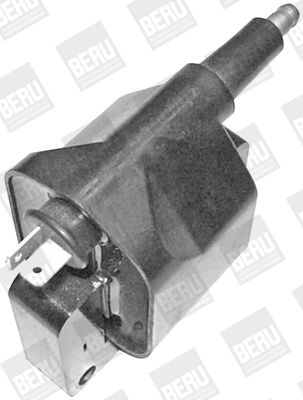 BorgWarner (BERU) Zündspule