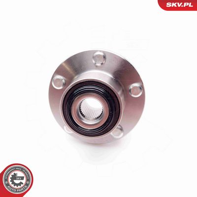 SET RULMENT ROATA ESEN SKV 29SKV021 2