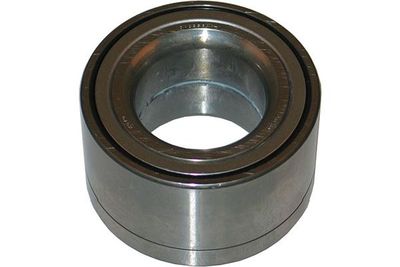 Kavo Parts Rato guolis