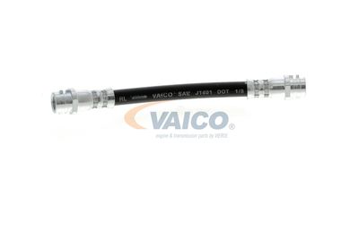 FURTUN FRANA VAICO V104114 48