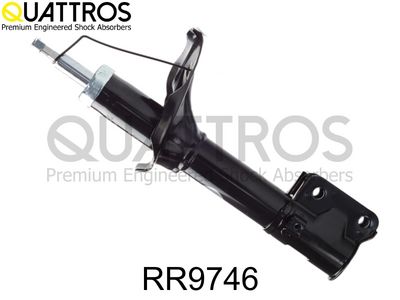AMORTIZOR DAVID VASCO RR9746