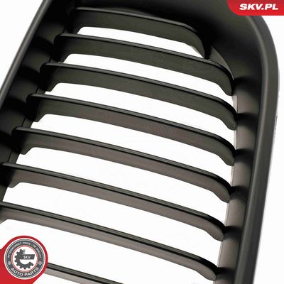 GRILA RADIATOR ESEN SKV 66SKV077 6
