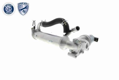 MODUL-EGR ACKOJA A52630018 7