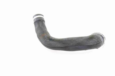 LADELUFTSCHLAUCH VAICO V103834 6