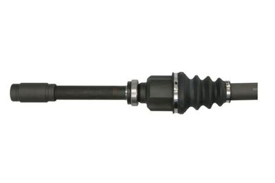 Drivaxel PASCAL G2P050PC för CITROËN
