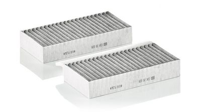 Filter, Innenraumluft