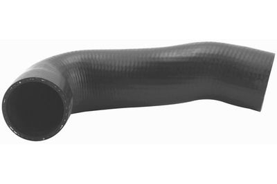 FURTUN EAR SUPRAALIMENTARE