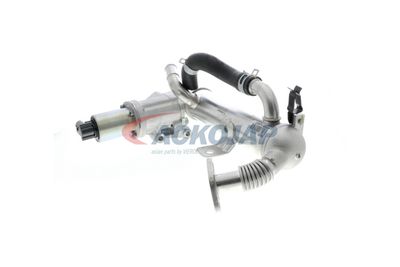 MODUL-EGR ACKOJA A52630018 20