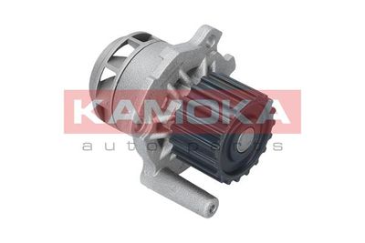 Water Pump, engine cooling T0251