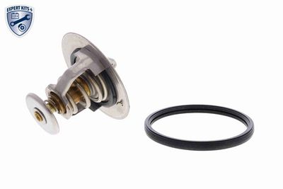 TERMOSTAT LICHID RACIRE