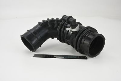 FURTUN ALIMENTARE AER FEBEST 02450001 3