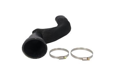 FURTUN EAR SUPRAALIMENTARE