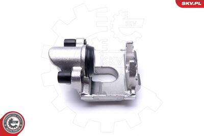 Brake Caliper 46SKV593