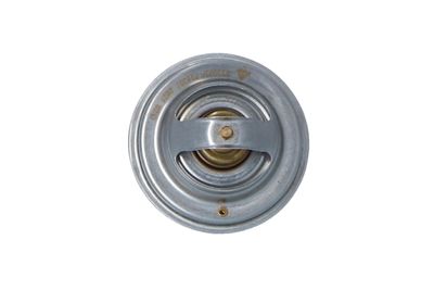 TERMOSTAT LICHID RACIRE NRF 725067 7