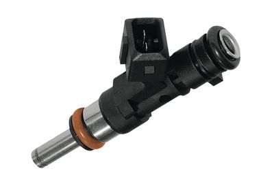 BOSCH Einspritzventil