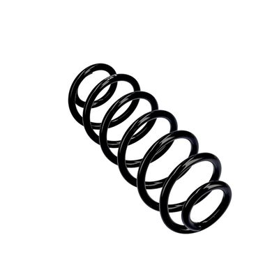 ARC SPIRAL EIBACH R10782 11