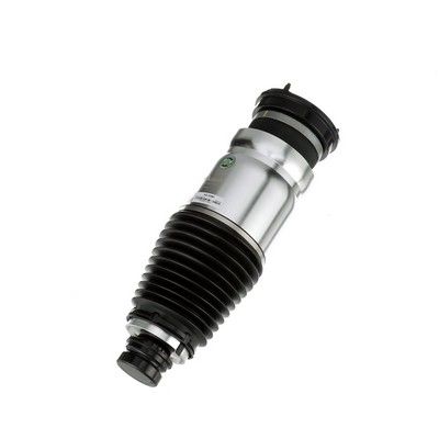 LUFTFEDERBEIN Arnott AS3380 60