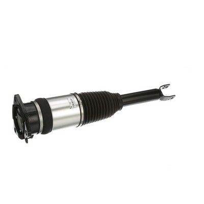 LUFTFEDERBEIN Arnott AS2968 50