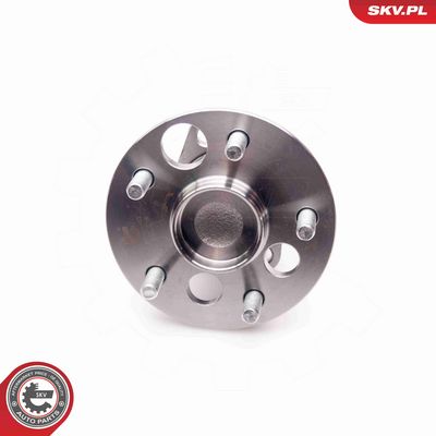 SET RULMENT ROATA ESEN SKV 29SKV103 3