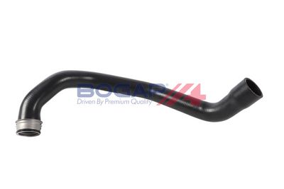 FURTUN EAR SUPRAALIMENTARE BOGAP C1711225 2