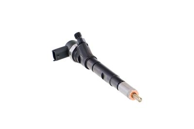 INJECTOR REMANTE 002003001670R 52