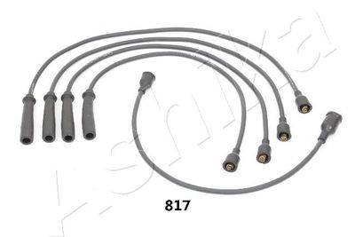 Ignition Cable Kit 132-08-817