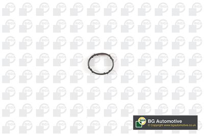 GARNITURA VENTIL AGR