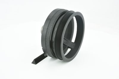 FULIE CUREA ARBORE COTIT FEBEST CRDSGRCH 19