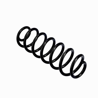 ARC SPIRAL EIBACH R10793 22