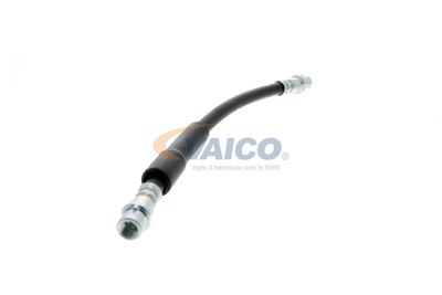 FURTUN FRANA VAICO V104119 50