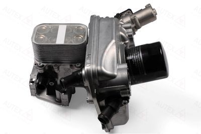 RADIATOR RECIRCULARE GAZE DE ESAPAMENT