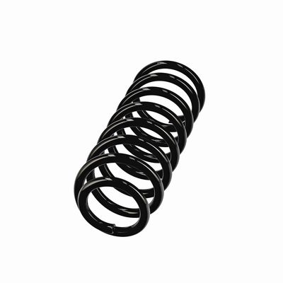 ARC SPIRAL EIBACH R11075 2