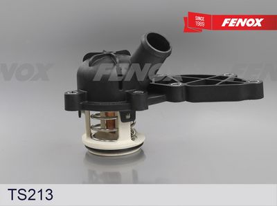 термостат, охладителна течност FENOX TS213