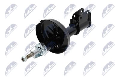 AMORTIZOR NTY ARE020 2