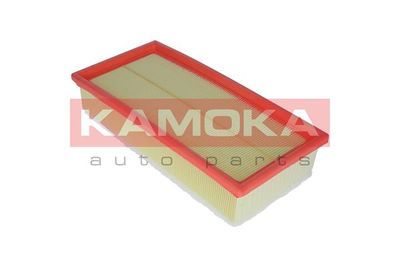 Air Filter F223501